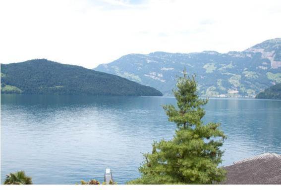 Seehotel Sternen Beckenried Buitenkant foto